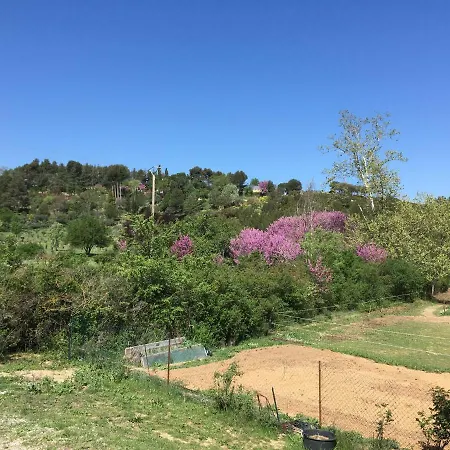 Du Chicalon * Aix-en-Provence