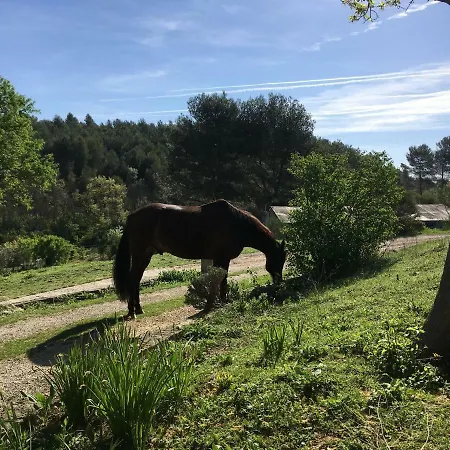 Du Chicalon Holiday home Aix-en-Provence